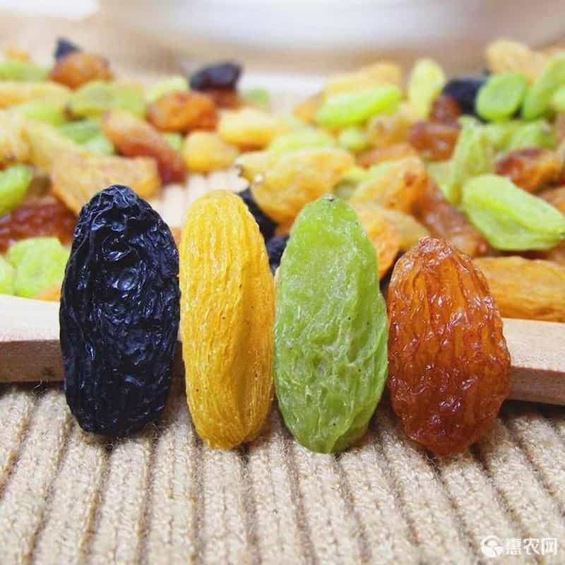 تصویر 4 از کشمش سبز قلمی کاشمر با کیفیت ممتاز و دانه های درشت